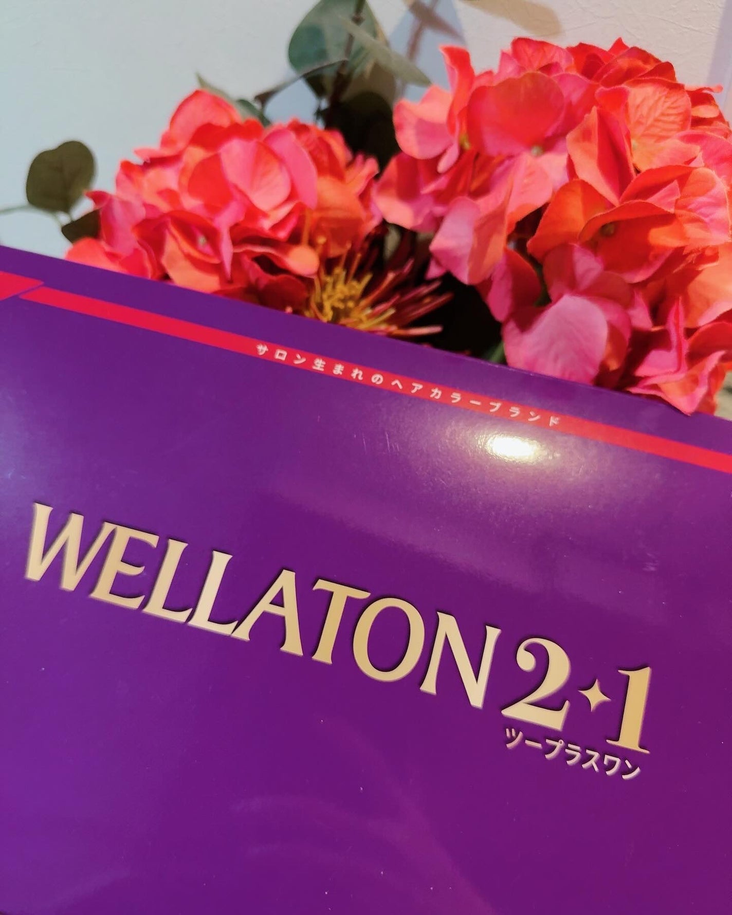 ウエラトーン ツープラスワン クリームタイプ/ウエラ/ヘアカラーを使ったクチコミ(1枚目)