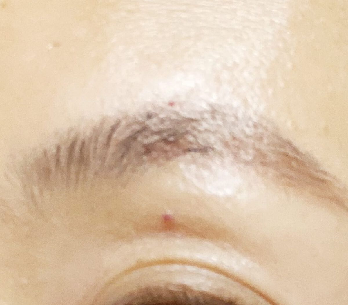 パウダーアイブロウ/media luxe/パウダーアイブロウを使ったクチコミ(2枚目)