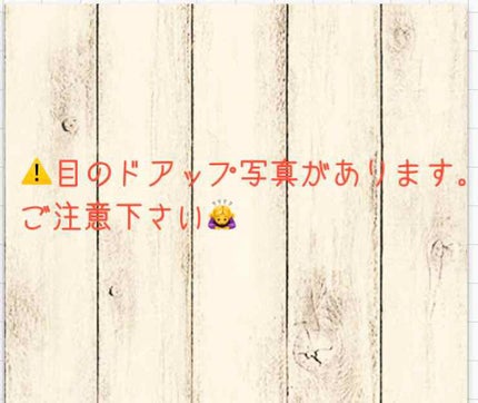 ReVIA 1day/ReVIA/ワンデー(1DAY)カラコンを使ったクチコミ(2枚目)