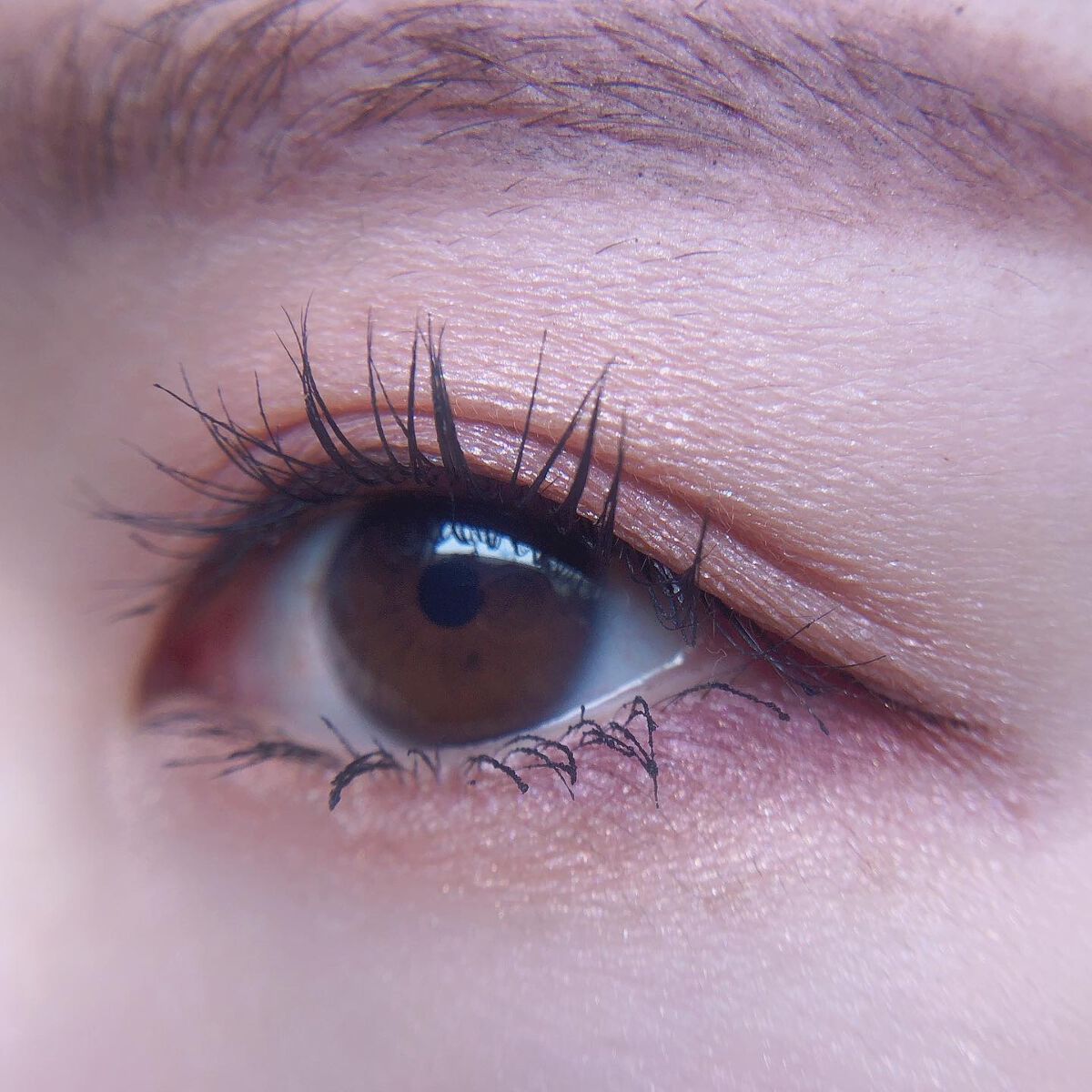 オブスキュア テンプテイション アイシャドウパレット/RMK/アイシャドウパレットを使ったクチコミ(6枚目)