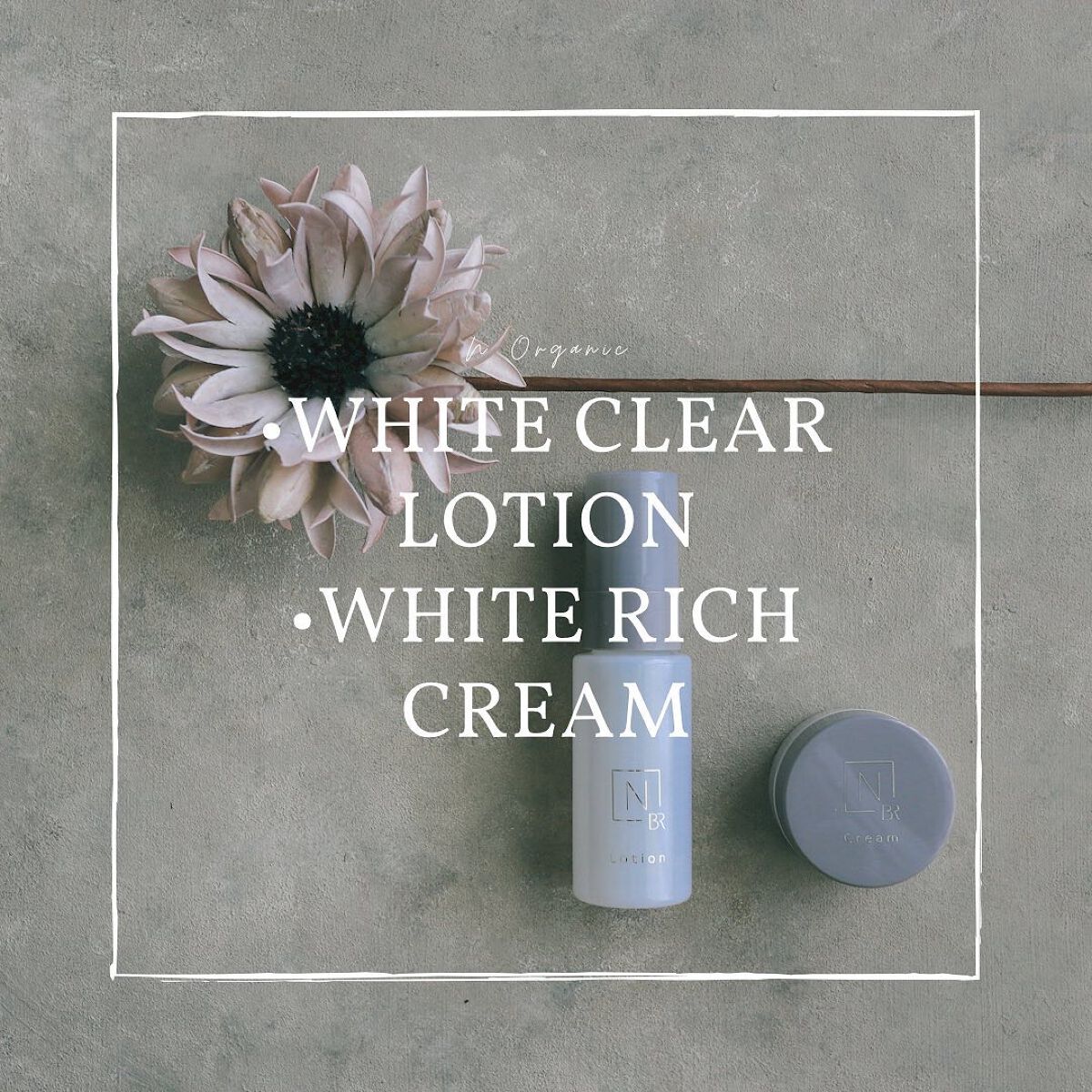 N organic Bright ホワイト リッチ クリーム/N organic/フェイスクリームを使ったクチコミ(1枚目)