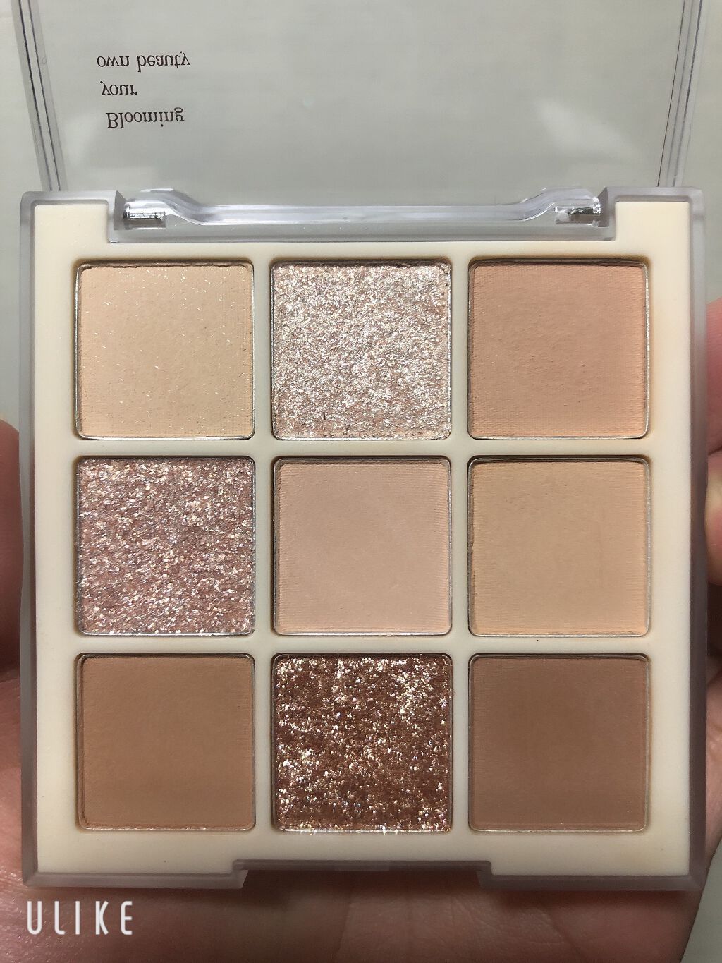 シャドウパレット/dasique/アイシャドウパレットを使ったクチコミ（2枚目）