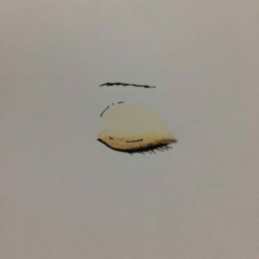 パーフェクトマルチアイズ/キャンメイク/アイシャドウパレットを使ったクチコミ(3枚目)