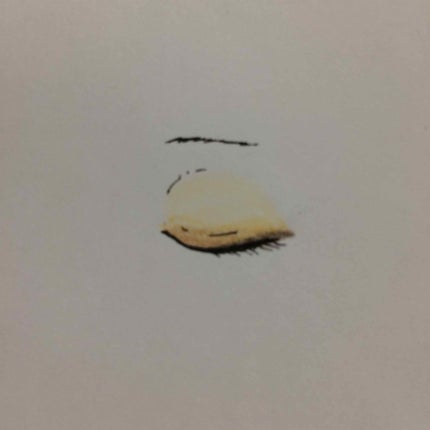 パーフェクトマルチアイズ/キャンメイク/アイシャドウパレットを使ったクチコミ(3枚目)