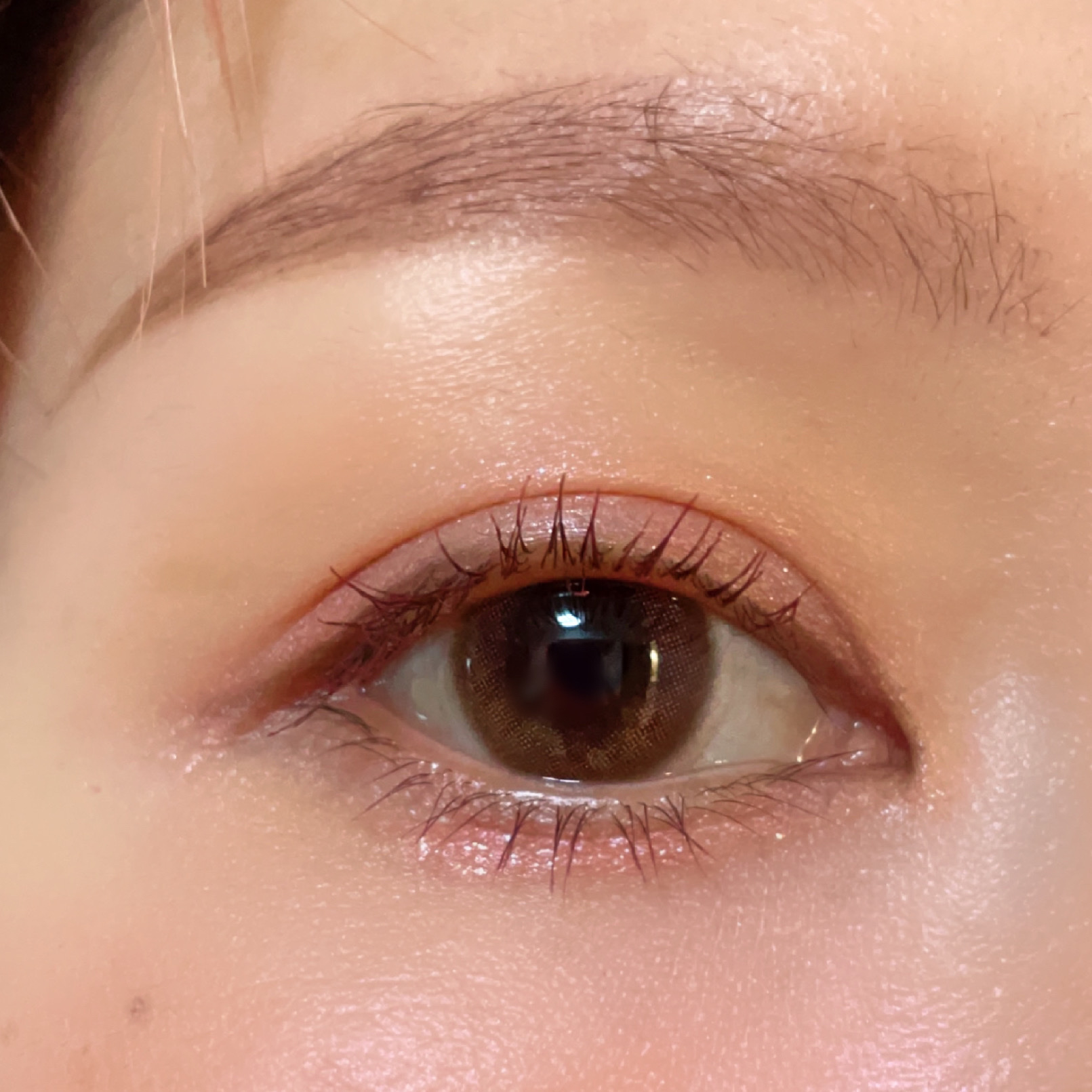 NARERU 1day 霜月レッド/NARERU/ワンデー（１DAY）カラコンを使ったクチコミ（3枚目）