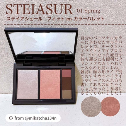 フィット my カラーパレット/STEIASUR(ステイアシュール)/マルチパレットを使ったクチコミ(1枚目)