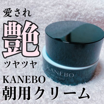 クリーム イン デイ/KANEBO/フェイスクリームを使ったクチコミ(1枚目)