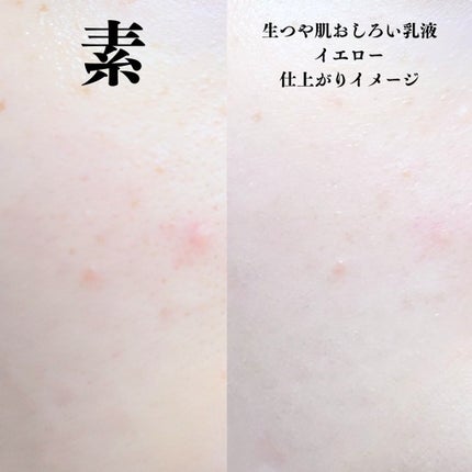 ウルミナプラス 生つや肌おしろい乳液 オイルブロック/ウルミナプラス/乳液を使ったクチコミ(5枚目)