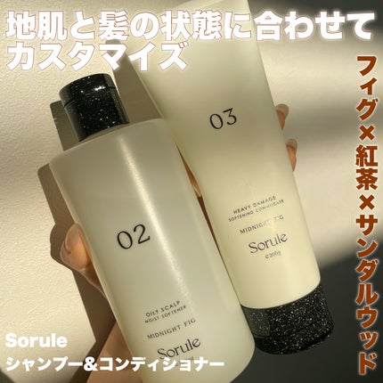 モイストソフナー 02オイリースカルプ/Sorule/市販シャンプーを使ったクチコミ(1枚目)
