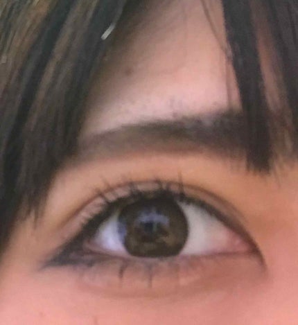 N’s COLLECTION 1day/N’s COLLECTION/ワンデー(1DAY)カラコンを使ったクチコミ(3枚目)