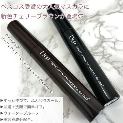 パーフェクトエクステンション マスカラ for カール/D-UP/マスカラを使ったクチコミ(2枚目)