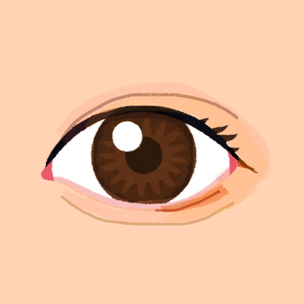 ジャストアイシャドウ/Laka/単色アイシャドウを使ったクチコミ（2枚目）