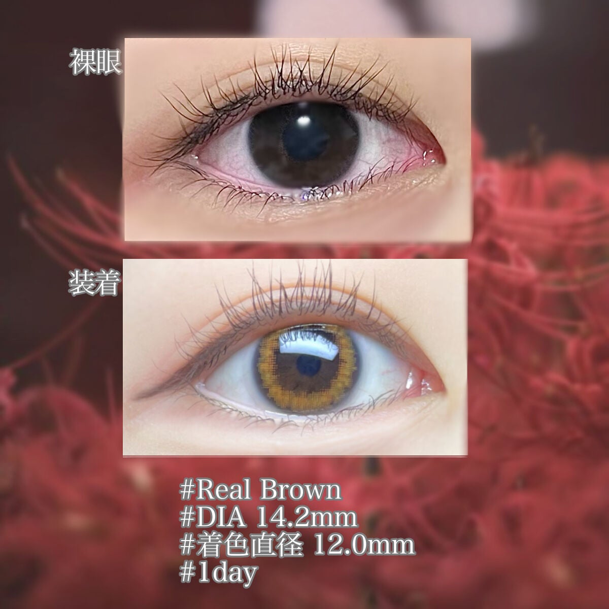 ワンデーリフレアビジュー/Refrear/ワンデー(1DAY)カラコンを使ったクチコミ(2枚目)