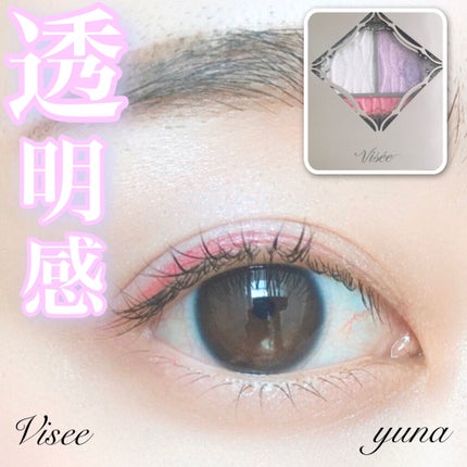 プリズムヴィーナス アイズ PU-4 オーロラパープル系/Visée/アイシャドウパレットを使ったクチコミ(1枚目)