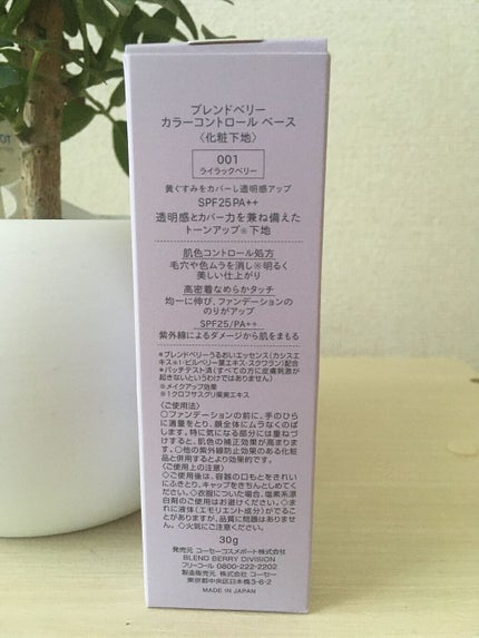 カラーコントロール ベース/BLEND BERRY/化粧下地を使ったクチコミ(5枚目)