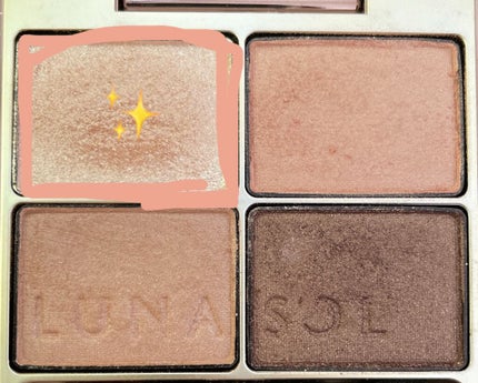 スキンモデリングアイズ/LUNASOL/アイシャドウパレットを使ったクチコミ(5枚目)