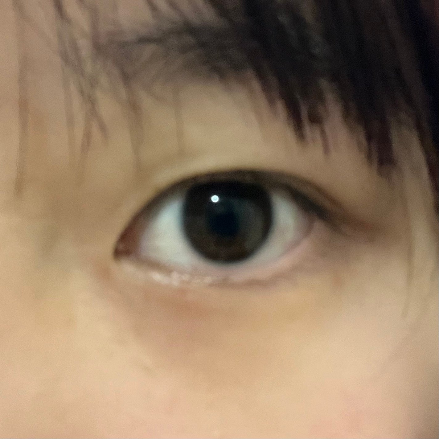 Angelcolor Bambi Series 1day /AngelColor/ワンデー(1DAY)カラコンを使ったクチコミ(2枚目)