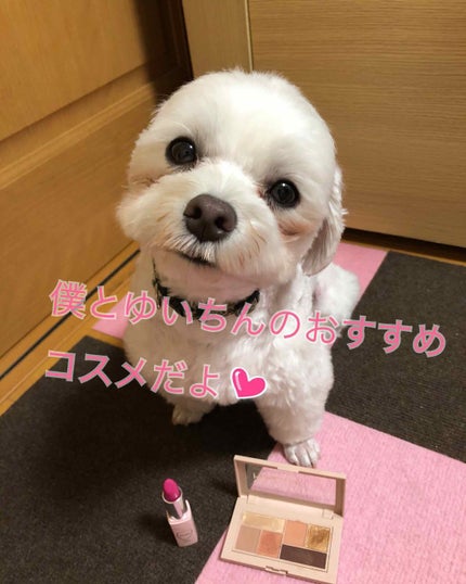 フーミー リップスティック/WHOMEE/口紅を使ったクチコミ(1枚目)