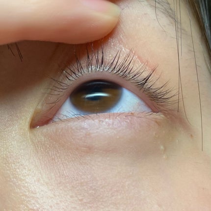 まつげ美容液EX/CEZANNE/まつげ美容液を使ったクチコミ(4枚目)