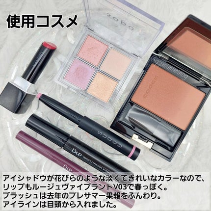 ブルーム アイ スティック/SUQQU/スティックアイシャドウを使ったクチコミ(8枚目)