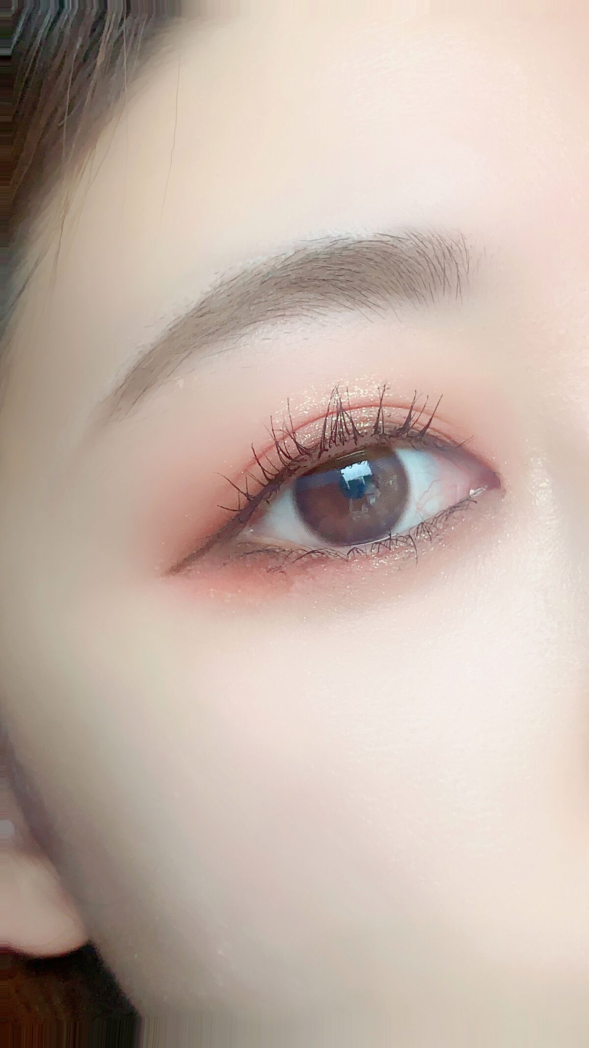 エクスプローラ12色 動物アイシャドウパレット/PERFECT DIARY/アイシャドウパレットを使ったクチコミ（3枚目）