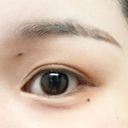 シャドウパレット/dasique/アイシャドウパレットを使ったクチコミ(1枚目)