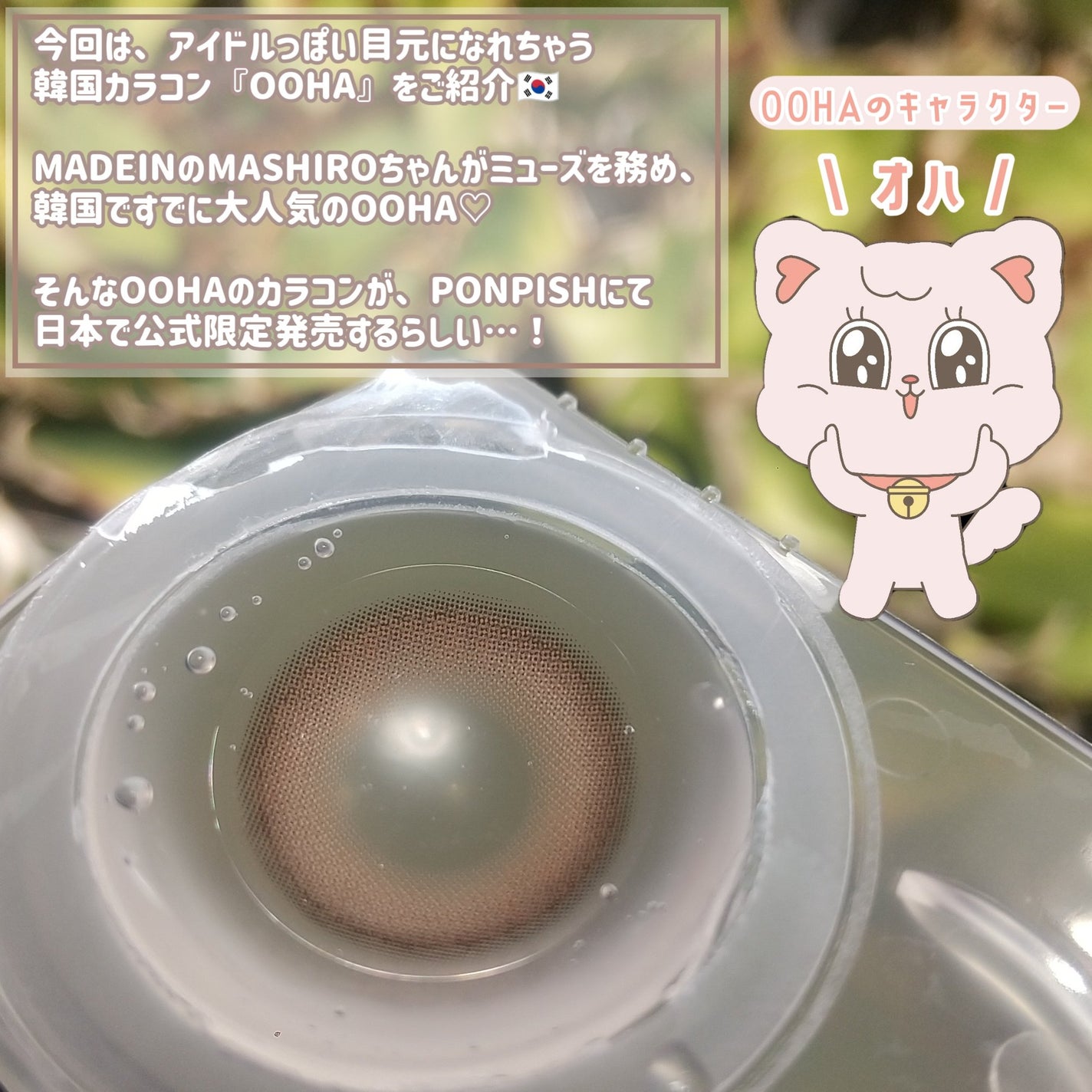 OOHA Dew e Dew 1day/OOHA/ワンデー(1DAY)カラコンを使ったクチコミ(2枚目)