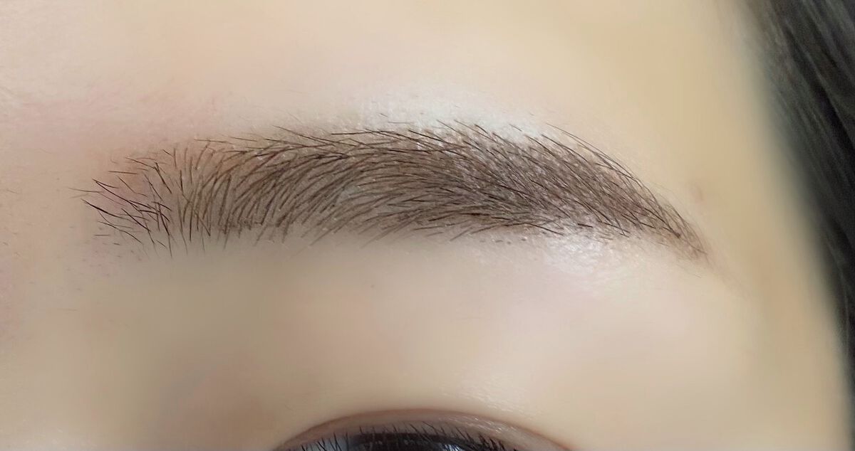 ヴィセ リシェ アイブロウパウダー/Visée/パウダーアイブロウを使ったクチコミ(5枚目)