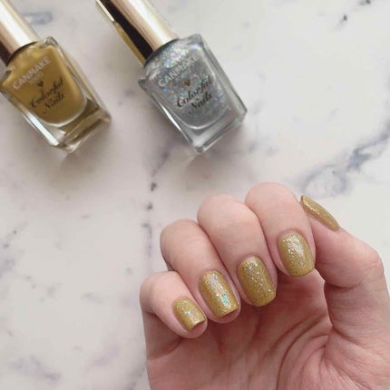 カラフルネイルズ/キャンメイク/マニキュアを使ったクチコミ(2枚目)