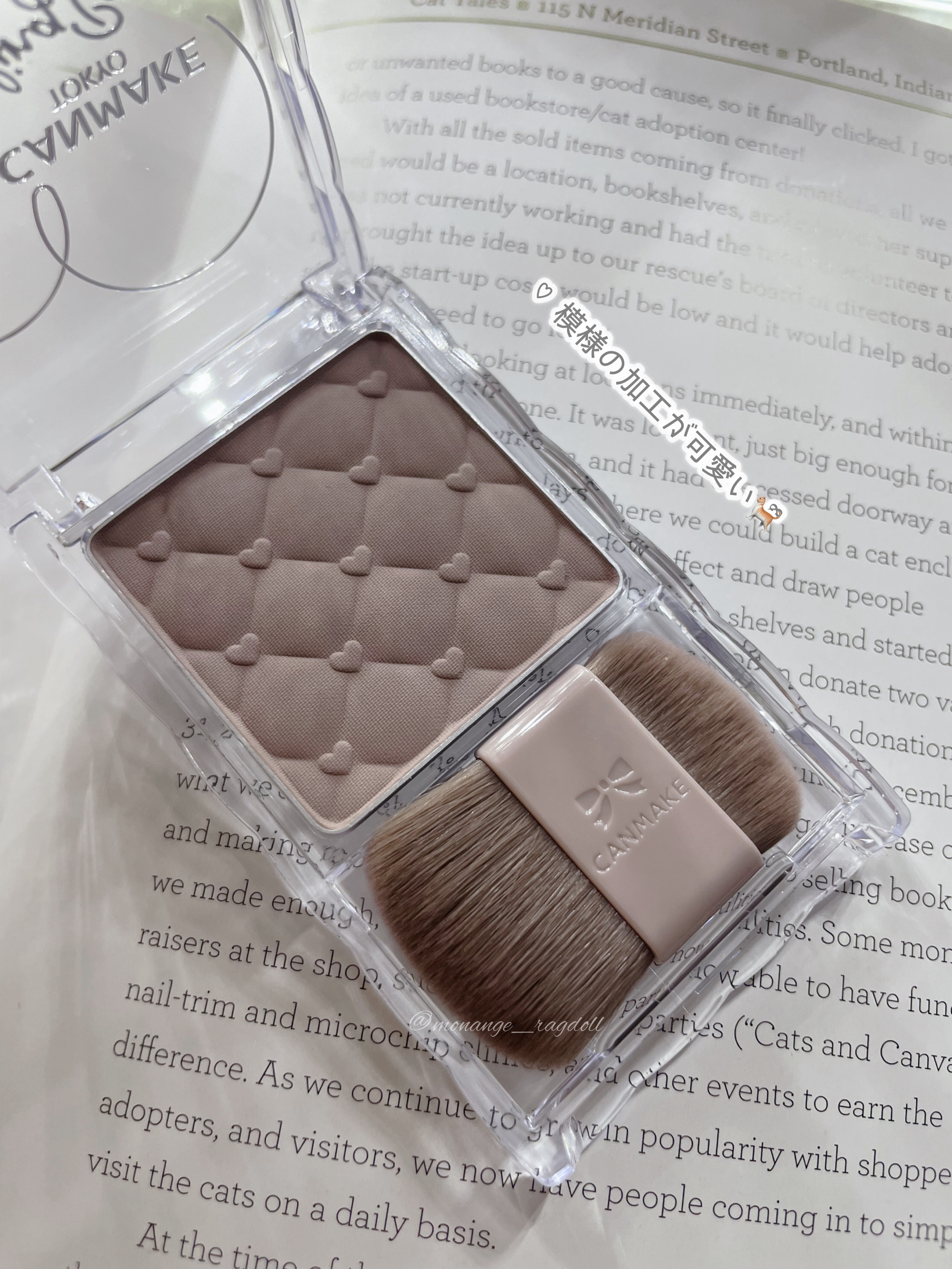 シェーディングパウダー 04 アイスグレーブラウン/キャンメイク/シェーディングを使ったクチコミ（3枚目）