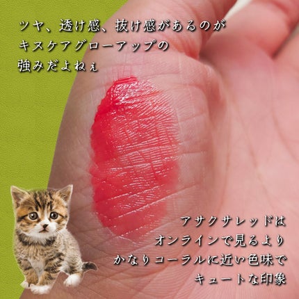 キヌケアグローアップ/shu uemura/口紅を使ったクチコミ(2枚目)