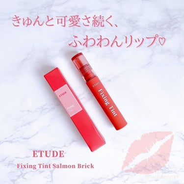 フィクシングティント サーモンブリック（新パッケージ）/ETUDE/口紅を使ったクチコミ（1枚目）