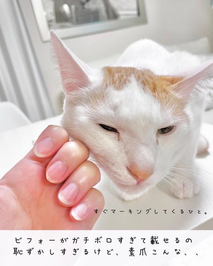 ディープセラム/Dr.Nail/ネイルオイル・トリートメントを使ったクチコミ(4枚目)