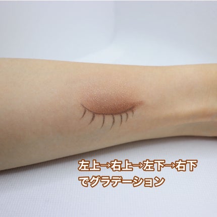 スキニーリッチシャドウ/excel/アイシャドウパレットを使ったクチコミ(3枚目)