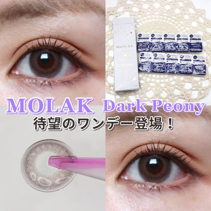 MOLAK 1day/MOLAK/ワンデー(1DAY)カラコンを使ったクチコミ(1枚目)