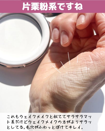 ステイフィクサーマルチカラーパウダー/wakemake/ルースパウダーを使ったクチコミ(8枚目)