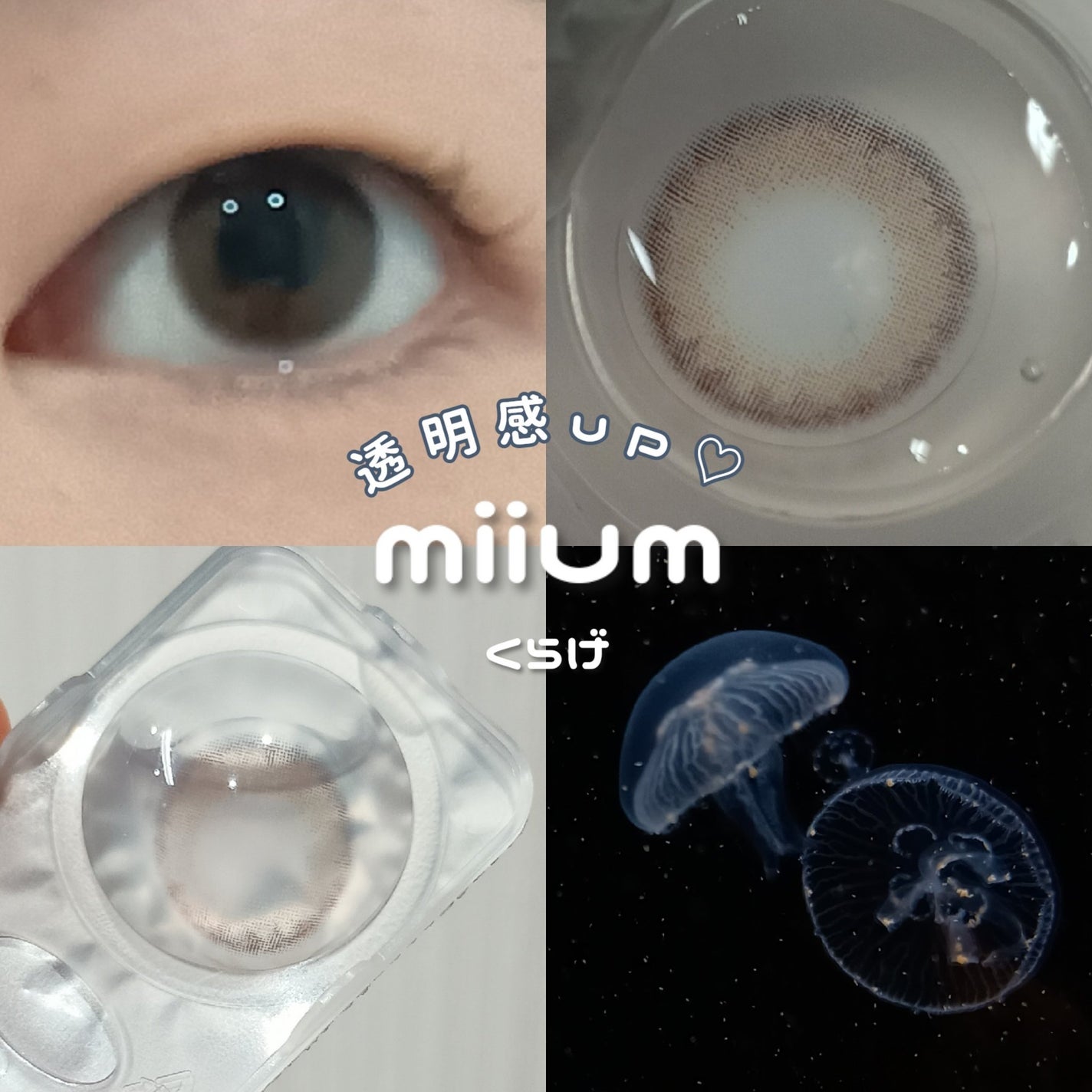 miium 1day/miium/ワンデー(1DAY)カラコンを使ったクチコミ(1枚目)