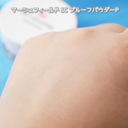 マーシュフィールド SC プルーフパウダーP/マーシュ・フィールド/ルースパウダーを使ったクチコミ(6枚目)