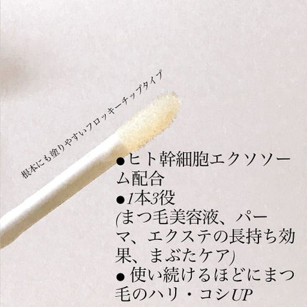 アイラッシュセラム/ルジュ/まつげ美容液を使ったクチコミ(3枚目)