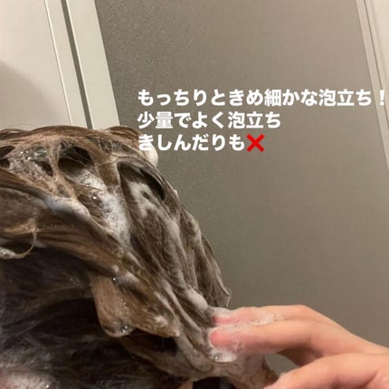 リフレッシュモーメントパフュームシャンプー/トリートメント Jeju Camellia/Free Moment /市販シャンプーを使ったクチコミ(4枚目)