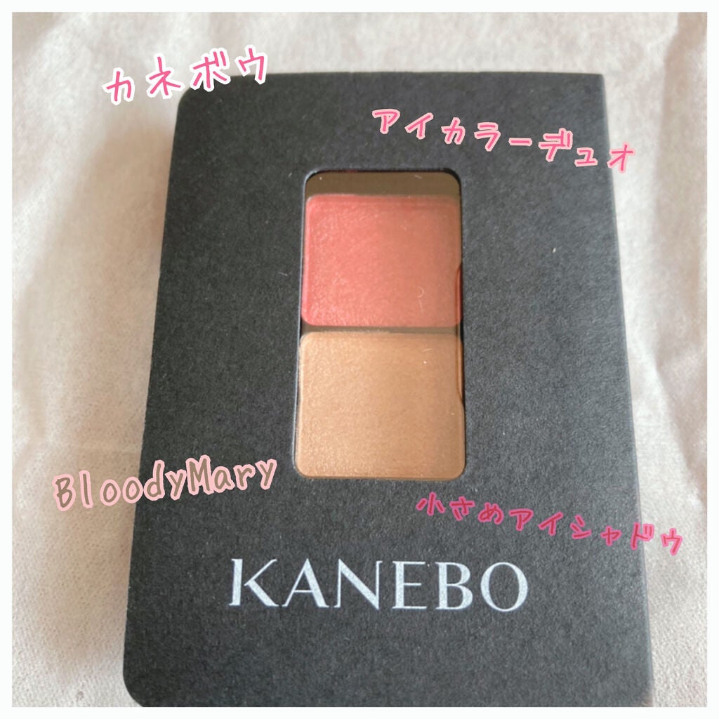 カネボウ アイカラーデュオ/KANEBO/アイシャドウパレットを使ったクチコミ(1枚目)