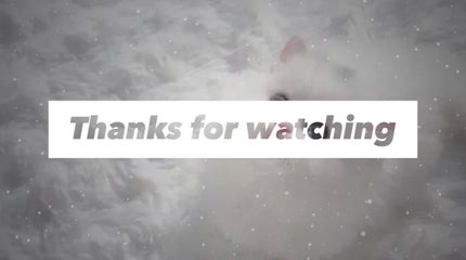 パーフェクトマルチアイズ/キャンメイク/アイシャドウパレットを使ったクチコミ(7枚目)