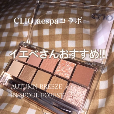 プロ アイ パレット/CLIO/アイシャドウパレットを使ったクチコミ（1枚目）