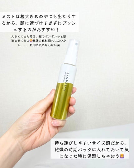 リアルックミラー/ロージーローザ/その他化粧小物を使ったクチコミ(4枚目)