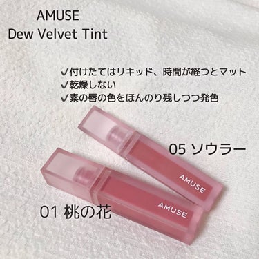 デュー ベルベット/AMUSE/口紅を使ったクチコミ（2枚目）