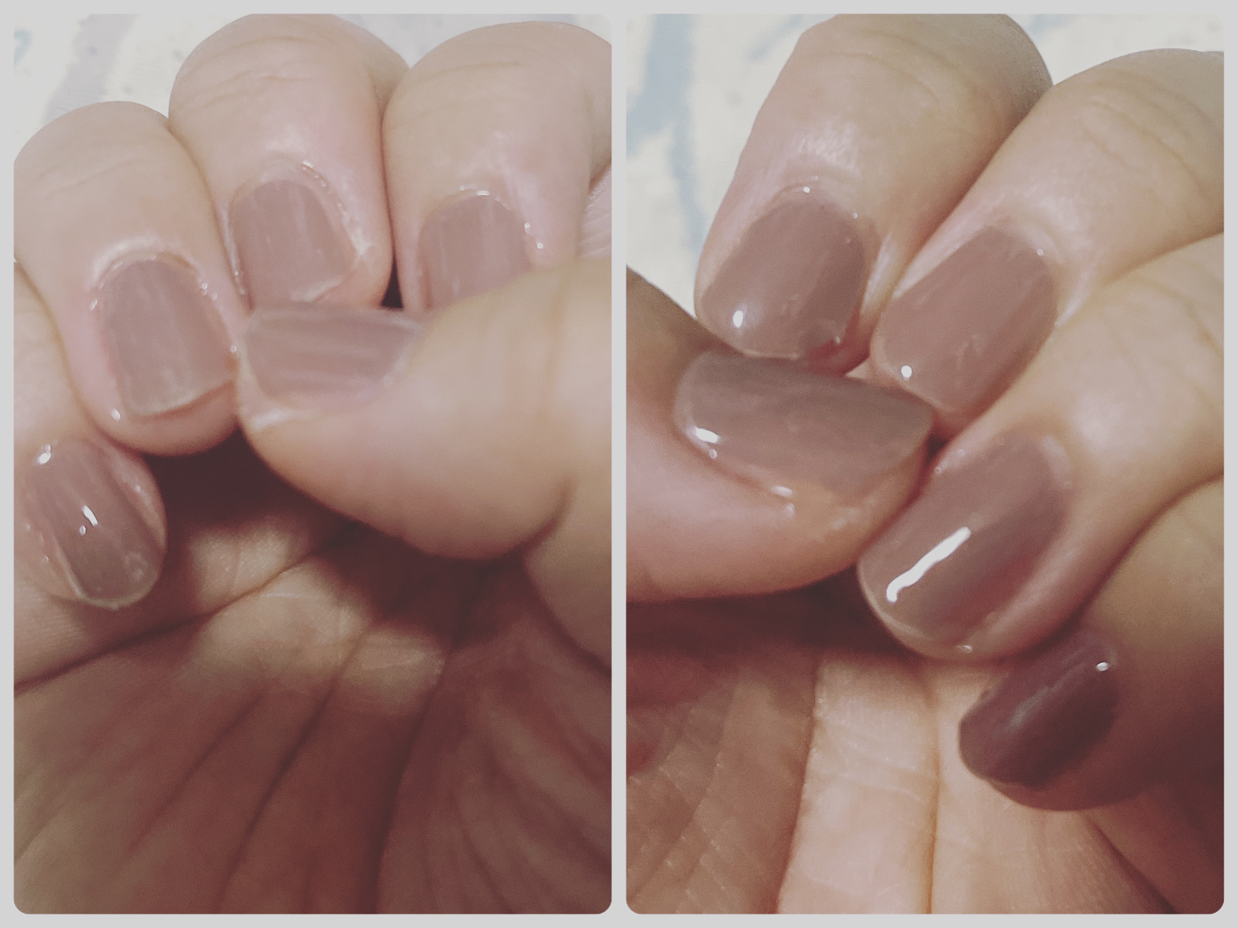 ジェルネイルシール/キャンドゥ/ネイルシールを使ったクチコミ（1枚目）