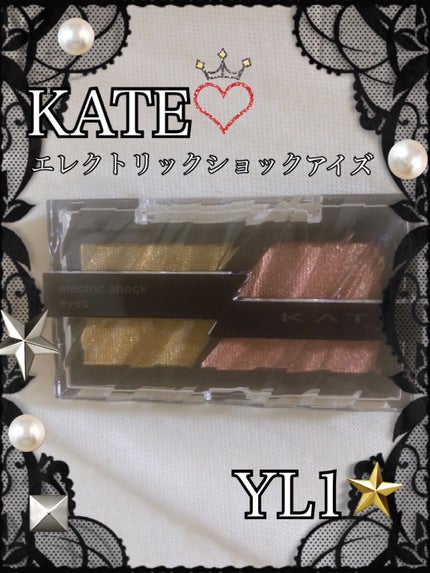 エレクトリックショックアイズ YL-1 エレクトリックアンバー/KATE/アイシャドウパレットを使ったクチコミ(1枚目)
