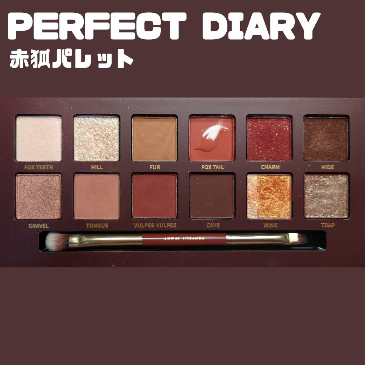 エクスプローラ12色 動物アイシャドウパレット/PERFECT DIARY/アイシャドウパレットを使ったクチコミ（2枚目）