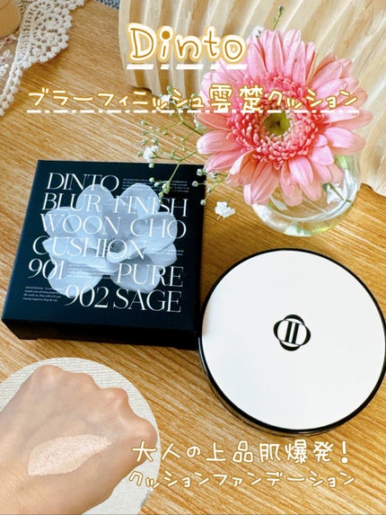 ブラーフィニッシュ雲楚クッション/Dinto/クッションファンデーションを使ったクチコミ(1枚目)