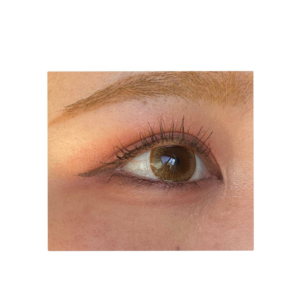 シャドーカスタマイズ/MAJOLICA MAJORCA/単色アイシャドウを使ったクチコミ(3枚目)